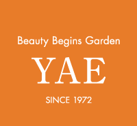 Beauty Begins Garden YAE SINCE 1972